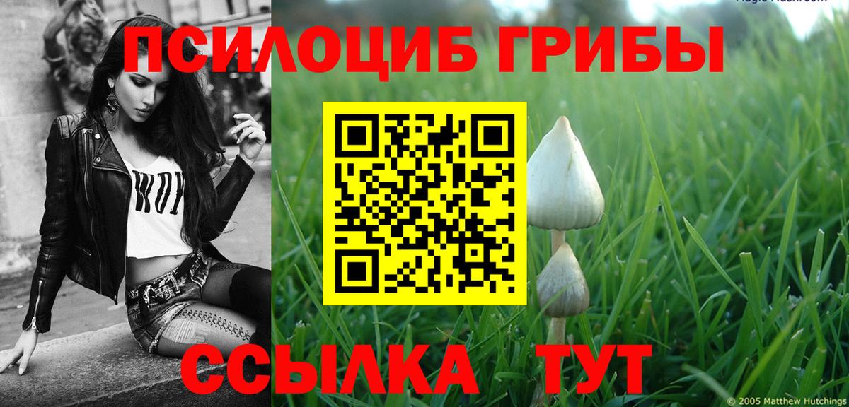 Звенигород  Псилоцибиновые грибы Cubensis  Вход с VPN  Псилоцибиновые грибы Psilocybine cubensis 