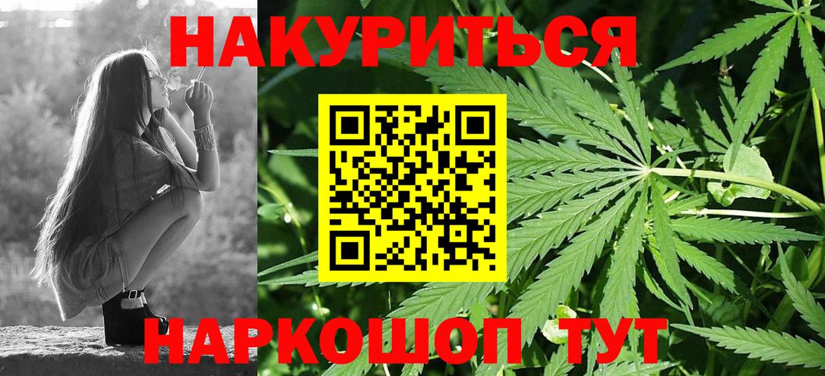 Канабис сатива Звенигород